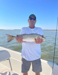 Redfish caught in FL measuring 26 inches