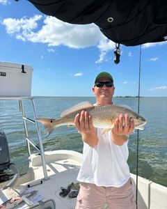 Redfish catch in Florida