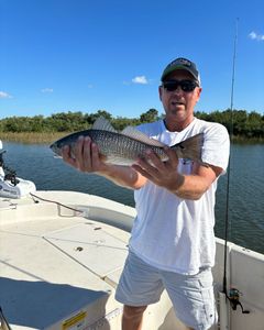 Redfish caught on cruises, fishing, and tours in FL
