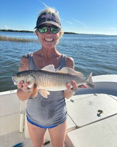 Redfish in the waters of Crystal River
