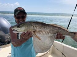 Reel in Redfish in the Gulf!