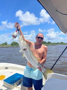 Snook on Premier Crystal River charters.