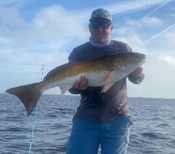 Angler fishing in Tallahassee