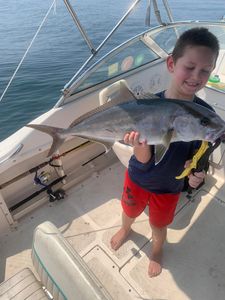 One Greater Amberjack fish caught while cruising and fishing in Tallahassee
