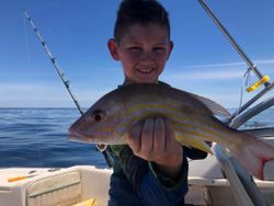 A lane snapper, a type of fish, being caught in Florida