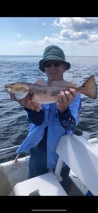 Redfish caught while fishing in Florida