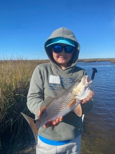 Redfish caught in Tallahassee during fishing