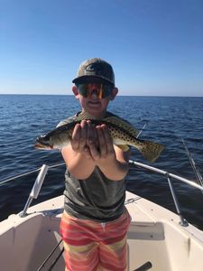 Spotted weakfish caught while fishing in FL