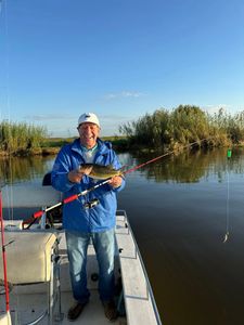 Shallow Fishing - Shell Beach, LA.