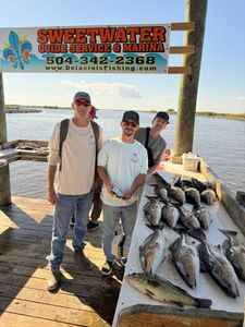 Productive Haul! - Shell Beach, LA.
