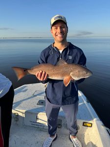 Clean Red Catch - Shell Beach, LA..