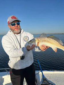 Clean Redfish Catch - Shell Beach, LA.