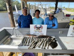 Abundance In Louisiana Waters