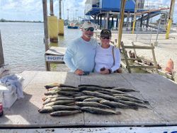 Casting Fortune: Louisiana's Rich Coastal Bounty