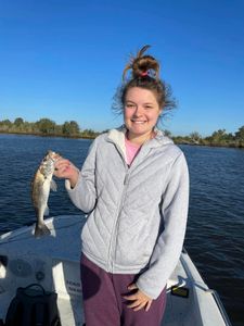 Trout Whispers: Louisiana's Fishing Secrets
