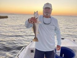 Hooked on Specks: Louisiana's Coastal Thrills