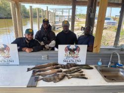Redfish, Sheepshead, and Speckled Trout catch