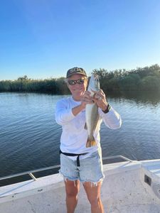 Speckled Elegance: Louisiana's Coastal Gem