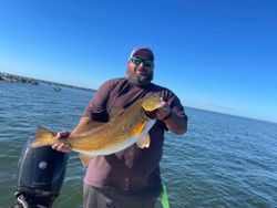 A fisherman holding a large redfish in St Bernard