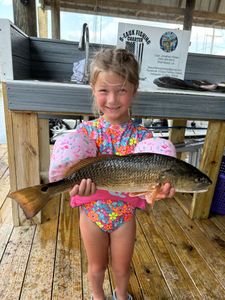 Redfish caught in LA