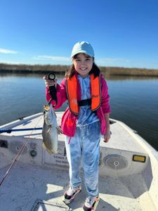 Spotted weakfish caught by angler in LA