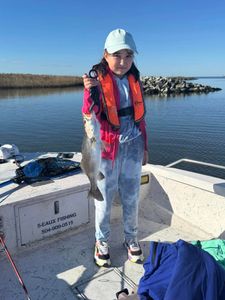 Spotted Weakfish caught while fishing in St Bernard