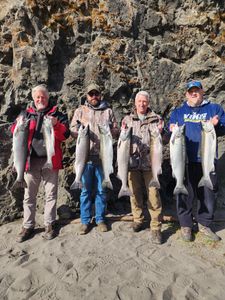 Coho