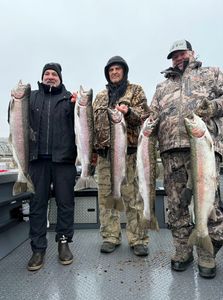 Image of 5 rainbow trout caught in WA