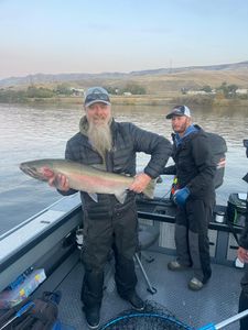 Rainbow Trout, 22-inch fish caught while fishing in WA