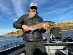 Rainbow trout caught in Kennewick