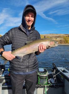 A single rainbow trout, 21 inches long, caught while fishing in WA