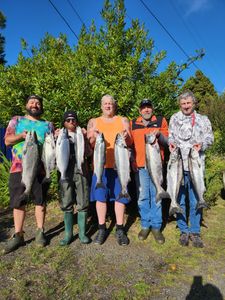 A group of 8 pink and chinook salmon caught in Kennewick