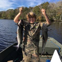 Two white catfish caught while fishing in FL
