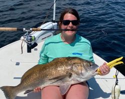 A single large black drum fish caught while fishing in FL