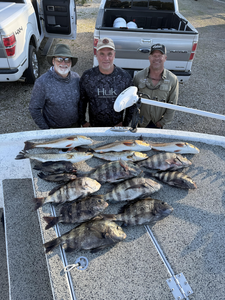 Caught a whole boatload of the good stuff!