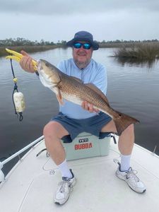 Photograph of a massive Redfish caught in St Marks