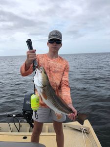 Redfish caught fishing in FL