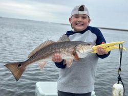 A lone redfish measuring 23 inches caught while fishing in St Marks
