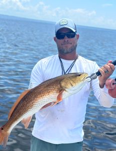 Redfish caught in St Marks