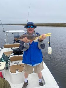 A redfish measuring 15 inches caught while fishing at St Marks