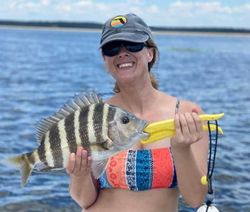 A sheepshead fish caught in St Marks, Florida