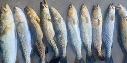 9 spotted weakfish caught while fishing in FL