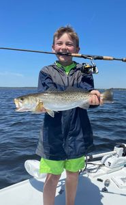 Spotted weakfish, 16 inches, caught while fishing in St Marks