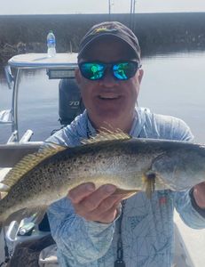 A spotted weakfish being held by a person in St Marks