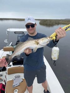 Spotted Weakfish, 20 inches, fishing at St Marks