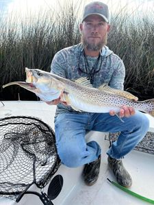 A spotted weakfish measuring 22 inches, caught while fishing in St Marks