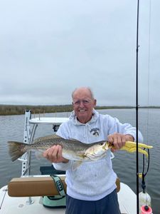Spotted Weakfish, 21 inches, caught fishing in St Marks