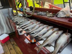 Fisherman casting line in Arroyo City