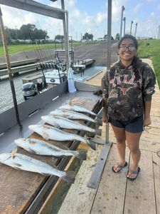 Three fishing rods with a scenic background of Arroyo City