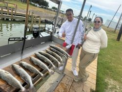 Spotted Weakfish caught in TX